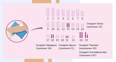 поиск
