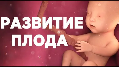 Гироскоп вколене