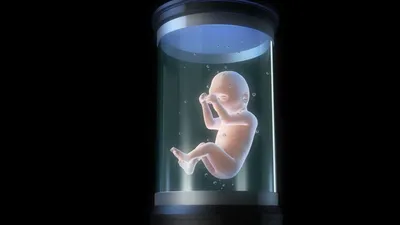 Первый детский медицинский центр - 🤰🏼Беременность сама по себе – это  чудо. Развитие ребенка в утробе мамы сопровождается интересными процессами  и явлениями. 💟Сегодня мы расскажем 13 невероятных фактов про малышей в  \"животиках»