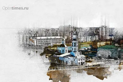 Эмбриональное развитие нервной системы позвоночных