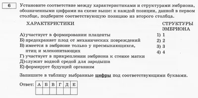 Беременность 4 недели: что происходит, ощущения в животе, признаки,  развитие плода, УЗИ | Четвертая акушерская неделя беременности