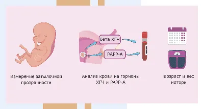 А ты знаешь, что такое зародышевые оболочки? Нет?! Ну и как после этого ты  думаешь сдавать ЕГЭ по биологии 2022?! | Репетитор-профессионал Богунова  В.Г. | Дзен