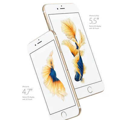 iPhone 6 Plus - Technical Specifications