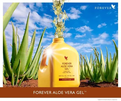Гель Алоэ Вера/Forever Aloe Vera Gel (ID#36911727), цена: 873 ₴, купить на  Prom.ua