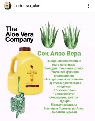 Картинки по запросу алоэ вера форевер | Forever living products, Forever  living aloe vera, Forever living distributor