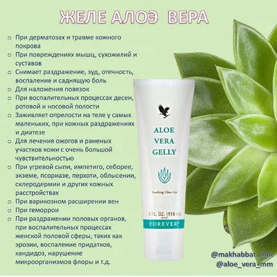 cholpon.aloevera - ✓10 причин пить Алоэ Вера от Forever! 👇Ссылка на  https://www.foreverliving.ru/ru/site/referal/id/700000208112 т 79957570154  Представьте себе, что вы разделяете лист алоэ на две части и выжимаете гель  прямо из растения. Это, собственно,