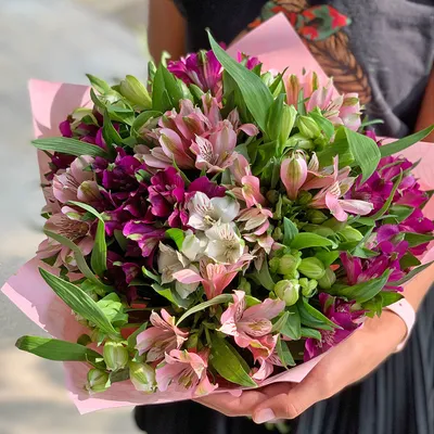 Букет из 21 красной альстромерии — купить в Москве по цене 4290 р — Magic  Flower