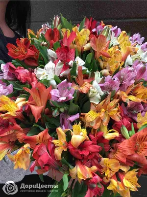 Купить букет из альстромерии и лизиантуса 15 шт Sfloristic \"Цвет  настроения-летний\", 40 см, цены на Мегамаркет | Артикул: 600008273085