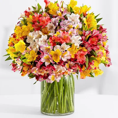 Букет из 21 красной розы и альстромерии | Flowers Valley