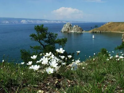 Туры на Байкал летом 2024, отдых на Байкале летом