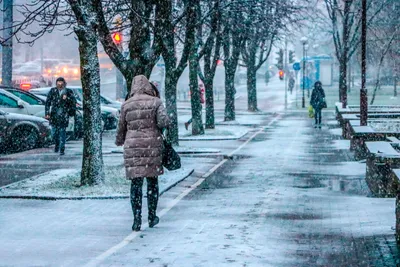 Баку, Азербайджан, 12 сентября 2019 года Зимний парк между улочками Шамси  Баделбейли и Фузули Азербайджан, город Баку Редакционное Фото - изображение  насчитывающей пруд, строя: 158991691