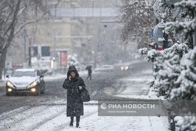 Зимний парк. 4 декабря... - Баку - Ландшафты и сообщества - Плантариум