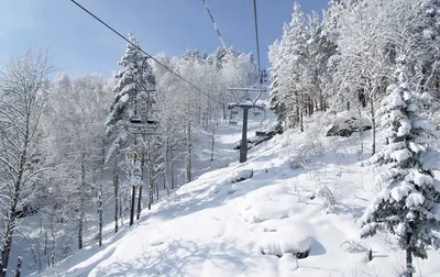 Курорт «Белокуриха Горная» на Алтае: уникальная лыжная трасса и серпантин |  ОБЩЕСТВО | АиФ Барнаул