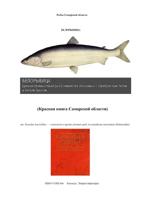 Тирольская снасть №1 для хариуса и белорыбицы 3 мухи 30 гр | Белый камень.  Одежда и снаряжение для активного отдыха