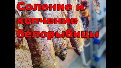 Водка «Белорыбица»