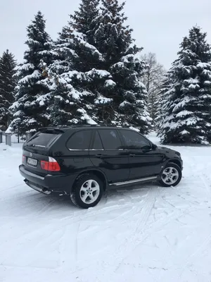 Зима…) — BMW X5 (E53), 3 л, 2006 года | покатушки | DRIVE2