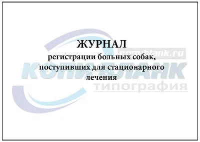 Решение проблемы бездомных собак уперлось в больной вопрос | Пикабу