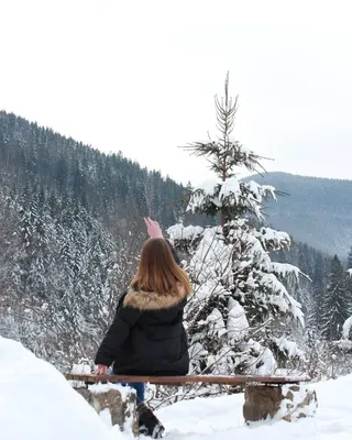 Зимние картинки на аву (78 фото)