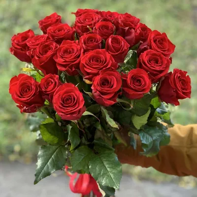 Букет из 15 Алых роз купить в Азове - Заказать с доставкой недорого