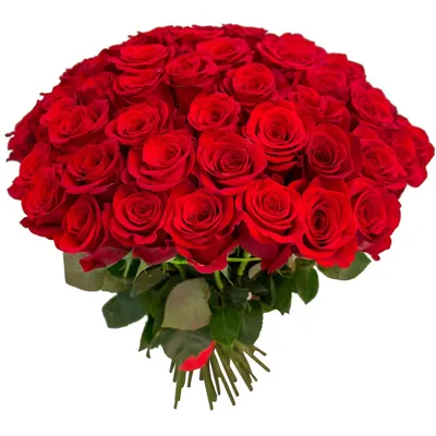 Купить красивый букет из свежайших красных роз разных оттенков с доставкой  по Киеву.