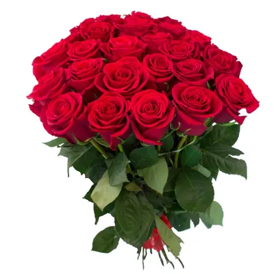 Букет из алых роз (101 шт) купить с доставкой в интернет-магазине за  38297р. Позиция № 45