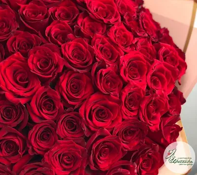 Букет из 15 алых роз в крафт бумаге купить в Краснодаре недорого - доставка  24 часа