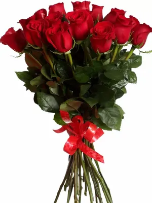 Букет Алые розы с бесплатной доставкой на дом. Дон Фион.ру