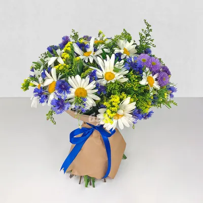 Фото букет ромашек цветы фотографии