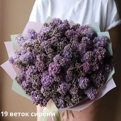 Букет из сиреневой сирени - заказать доставку цветов в Москве от Leto  Flowers