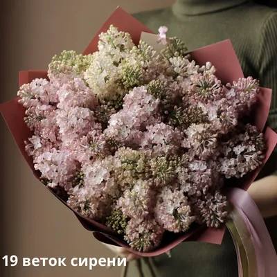 Букет из сирени и тюльпанов – купить с доставкой в Москве. Цена ниже!