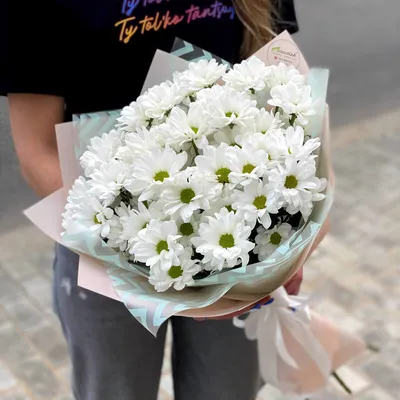 Купить Букет из 5 веток белой хризантемы с доставкой в Краснодаре