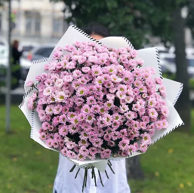 Букет из хризантемы, гвоздики и кустовой розы в кремовой пленке купить в  СПб в интернет-магазине Семицветик✿