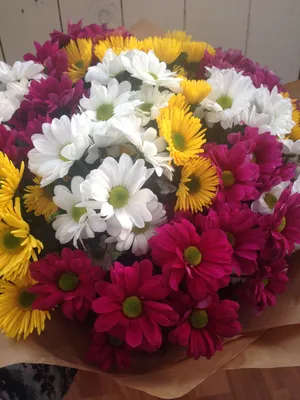 Букет из кустовых хризантем - заказать доставку цветов в Москве от Leto  Flowers