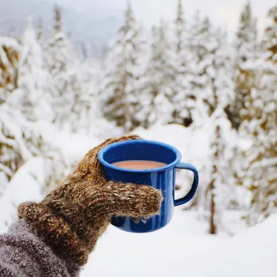 394 824 рез. по запросу «Зима кофе» — изображения, стоковые фотографии,  трехмерные объекты и векторная графика | Shutterstock