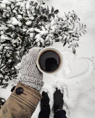 Чашка кофе на снегу - красивые фото