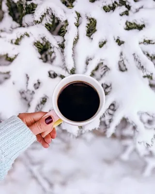 Литературная зимняя домашняя кофейная чашка Фон И картинка для бесплатной  загрузки - Pngtree