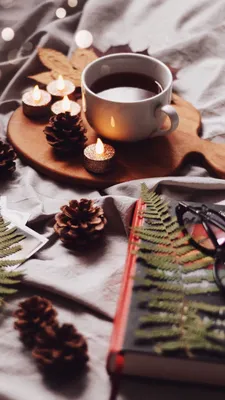 картинки : холодно, зима, девушка, чай, Главная, кружка, расслабиться,  напиток, Рождество, горячий, Кофе 6000x4000 - - 424747 - красивые картинки  - PxHere
