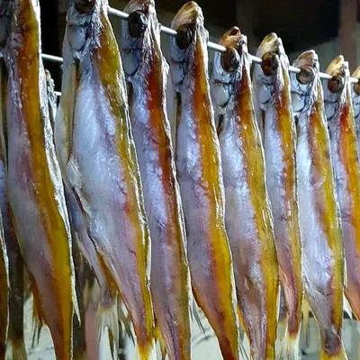 Чехонь рыба сабля как ее называют в народе, что это за рыба чехонь?. |  Рыбалка 63 | Дзен