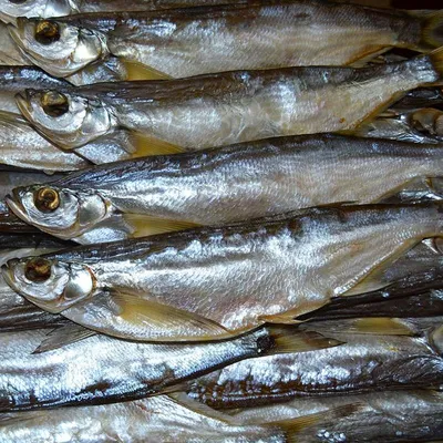 Сушёная чехонь - Fishop рыбный магазин - магазин рыбы и морепродуктов