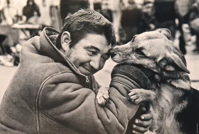 Собака и человек: как мы помогаем друг другу? История дружбы и приручения собаки  человеком