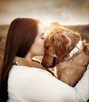 Счастливый Человек Тренируется Со Своей Собакой На Природе — стоковые  фотографии и другие картинки Собака - iStock