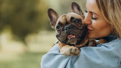 Как собаки воспринимают человека – собачий взгляд на хозяина? | Dog Breeds  | Дзен