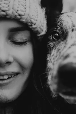 Любовь между человеком и собакой Стоковое Фото - изображение насчитывающей  приложение, друзья: 129829252