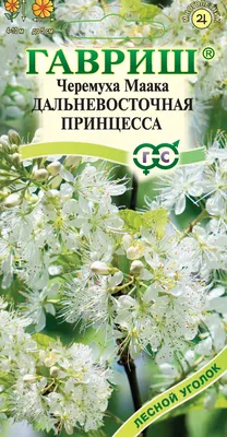 Дерево черемуха обыкновенная: черемуха собирается цвести. Черёмуха  обыкнове́нная[2] (лат. Prúnus pádus, «слива с… | Растения, Органическое  садоводство, Кустарники