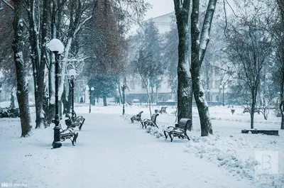 Фото чернигова зимой