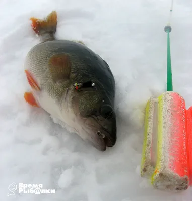 Мормышка Чертик 12М для зимней и летней рыбалки фосфорная светящаяся свинец  литая наживка приманка | AliExpress