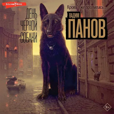 Шипперке - бельгийская овчарка. Черная маленькая овчарка | Пикабу
