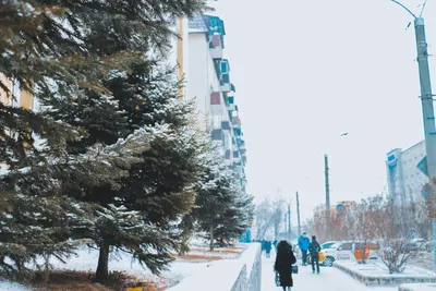 Ледовый городок начали строить на площади в Чите - МК Чита