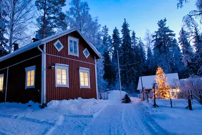 Стоит ли покупать дачу зимой? – как сэкономить на приобретении загородной  недвижимости - SakhalinMedia.ru