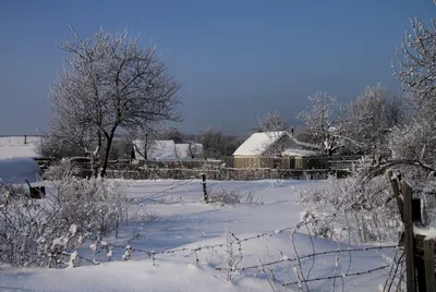 Чем заняться на даче зимой: романтика в стиле хюгге – Головне в Україні